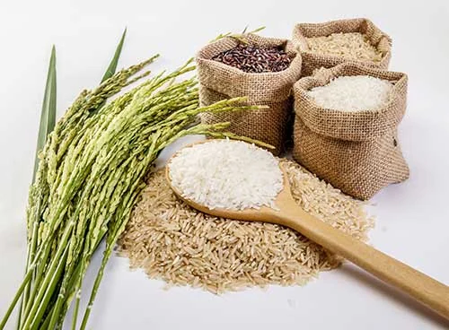 Alimentación ecológica