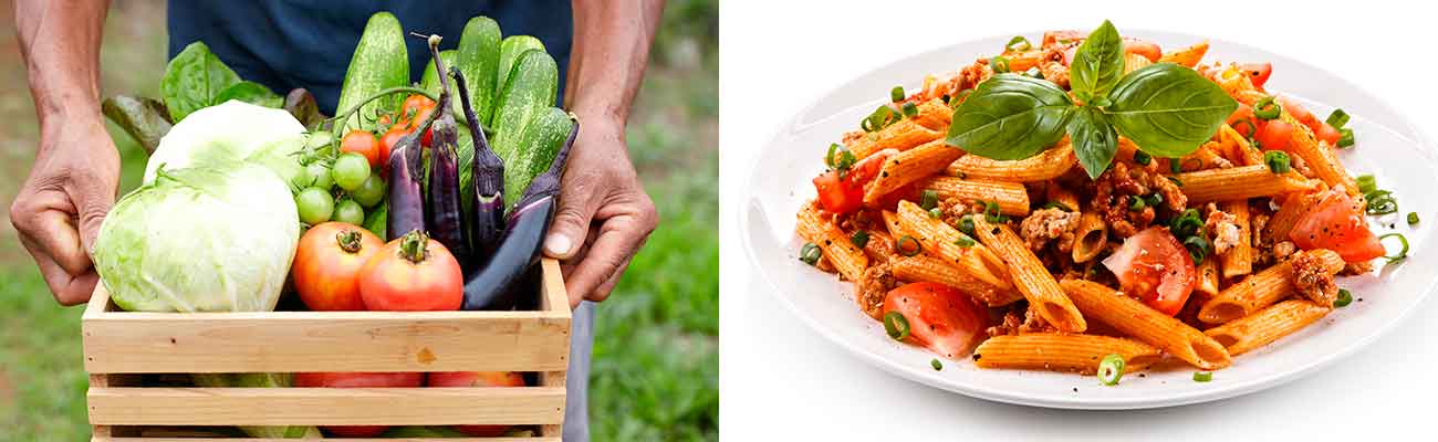 COMIDA PREPARADA ECOLÓGICA